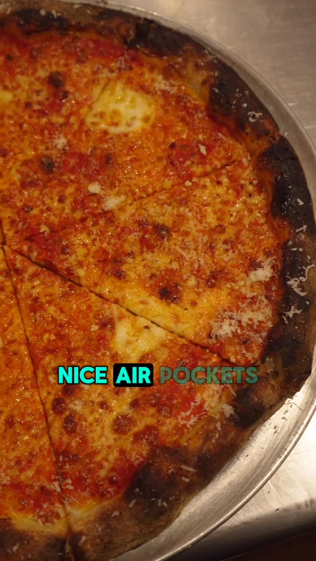 New Haven Style pie — thin char-spotted crust, sparse mozzarella, heavy garlic and oregano, irregular hand-stretched edge.